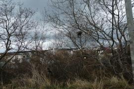 Земельный участок в СНТ "Ветеран"